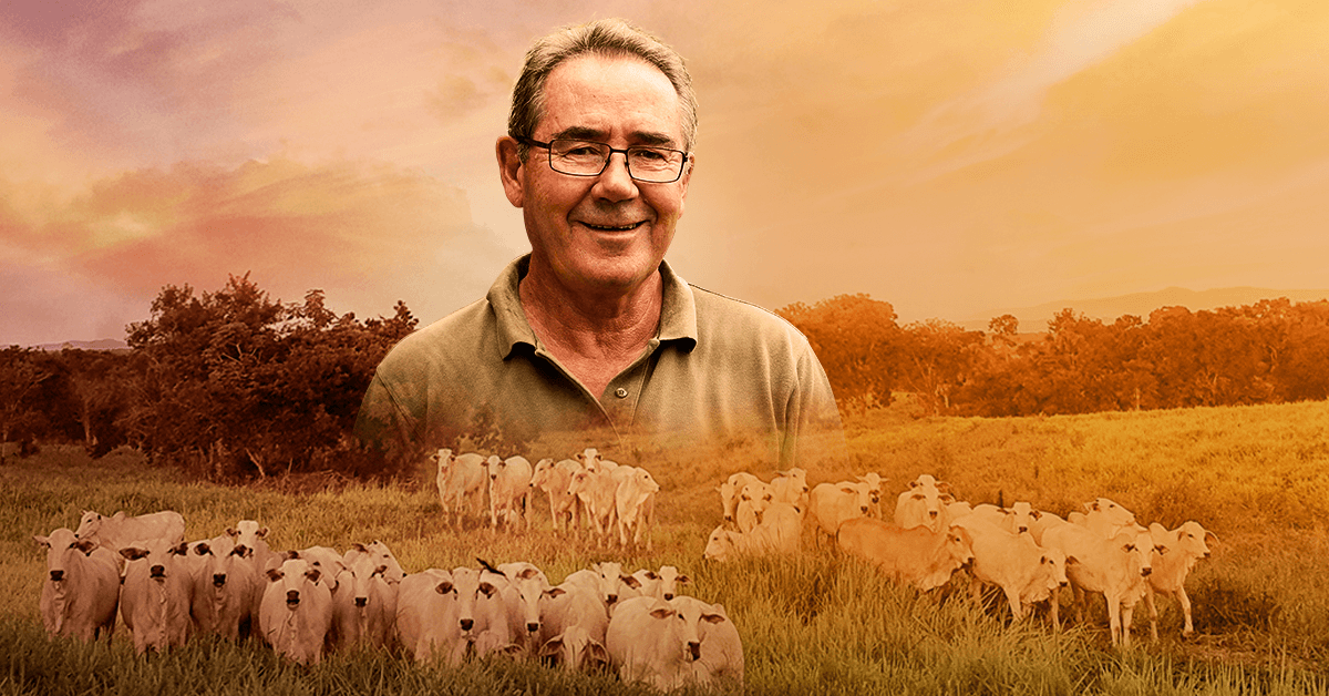 Seguro Pastagem: ESSOR e AgroBrasil oferecem solução exclusiva para proteção do pasto